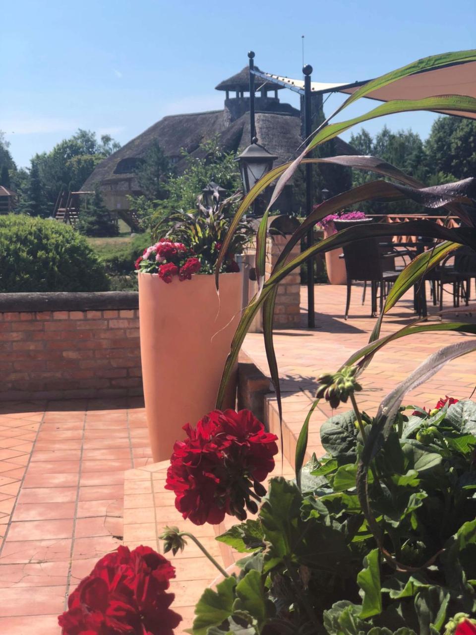 Villa Audruvis Joniškis Dış mekan fotoğraf